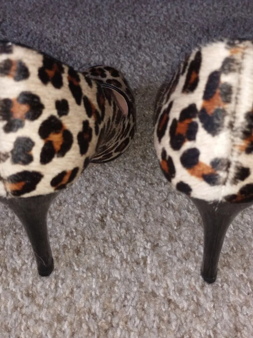 Ann Taylor leopard-print shoes , size 6 M
